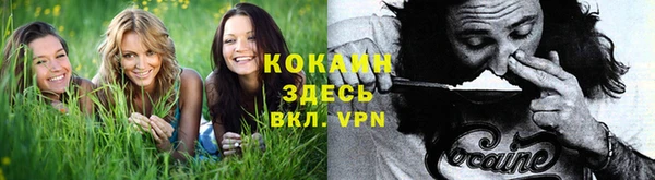 стафф Лагань