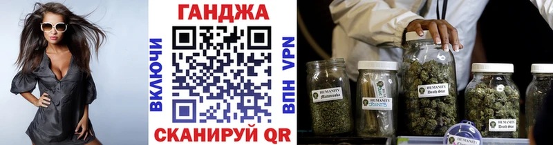 Конопля гибрид  Приволжский 